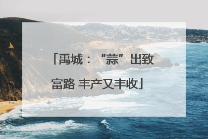 禹城：“蒜”出致富路 丰产又丰收