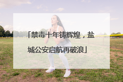 禁毒十年铸辉煌，盐城公安启航再破浪