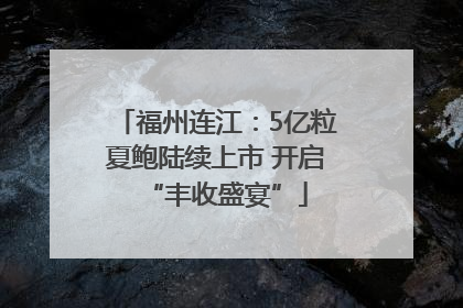 福州连江：5亿粒夏鲍陆续上市 开启“丰收盛宴”
