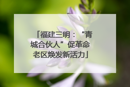 福建三明：“青城合伙人”促革命老区焕发新活力