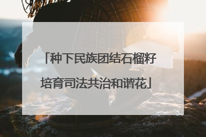 种下民族团结石榴籽 培育司法共治和谐花