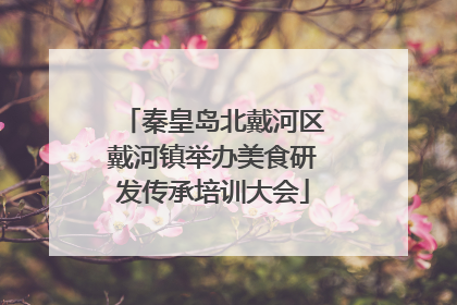 秦皇岛北戴河区戴河镇举办美食研发传承培训大会