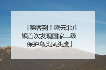 稀客到！密云北庄镇首次发现国家二级保护鸟类凤头鹰