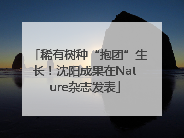 稀有树种“抱团”生长！沈阳成果在Nature杂志发表