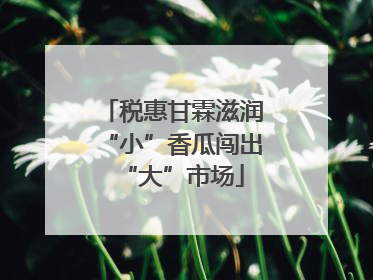 税惠甘霖滋润“小”香瓜闯出“大”市场