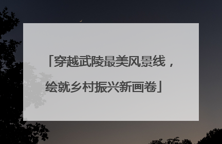 穿越武陵最美风景线，绘就乡村振兴新画卷