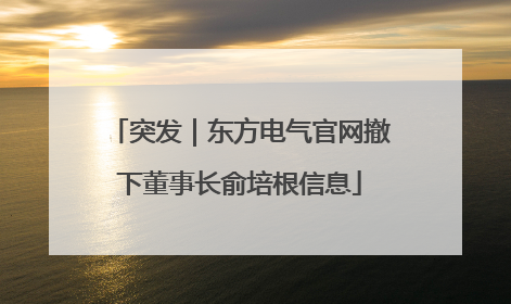 突发｜东方电气官网撤下董事长俞培根信息