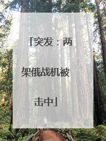 突发：两架俄战机被击中