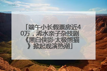 端午小长假票房近40万，浠水亲子杂技剧《黑白侠影·太极熊猫》掀起观演热潮