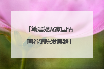 笔端凝聚家国情  画卷铺陈发展路