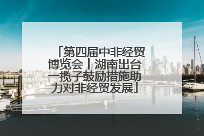 第四届中非经贸博览会丨湖南出台一揽子鼓励措施助力对非经贸发展