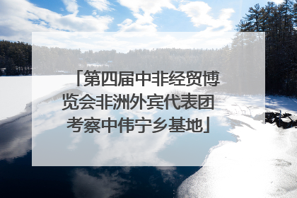 第四届中非经贸博览会非洲外宾代表团考察中伟宁乡基地