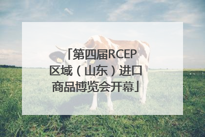 第四届RCEP区域（山东）进口商品博览会开幕