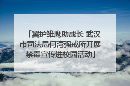 翼护雏鹰助成长 武汉市司法局何湾强戒所开展禁毒宣传进校园活动