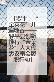 罗平：“金菜花”开遍地香——罗平县创新推行“金菜花”人大代表议事会履职行动