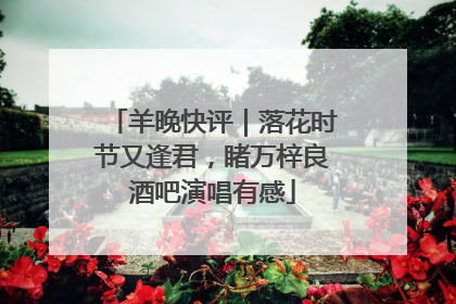 羊晚快评｜落花时节又逢君，睹万梓良酒吧演唱有感