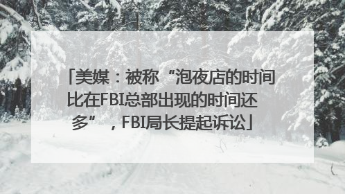 美媒：被称“泡夜店的时间比在FBI总部出现的时间还多”，FBI局长提起诉讼