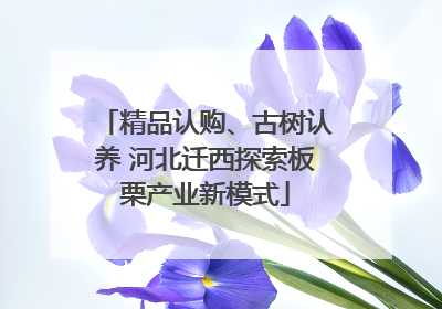 精品认购、古树认养 河北迁西探索板栗产业新模式