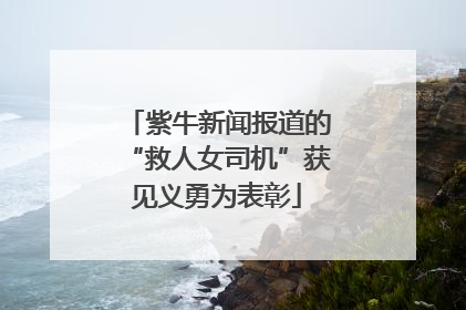 紫牛新闻报道的“救人女司机”获见义勇为表彰