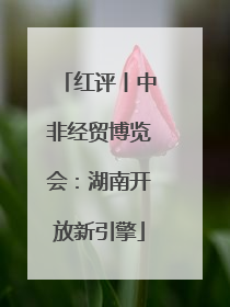 红评丨中非经贸博览会：湖南开放新引擎