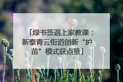 绿书签遇上家教课：新泰青云街道创新“护苗”模式获点赞