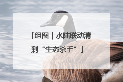 组图｜水陆联动清剿“生态杀手”