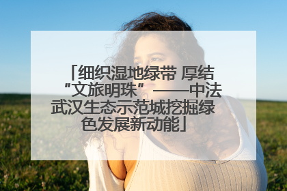 细织湿地绿带 厚结“文旅明珠”——中法武汉生态示范城挖掘绿色发展新动能