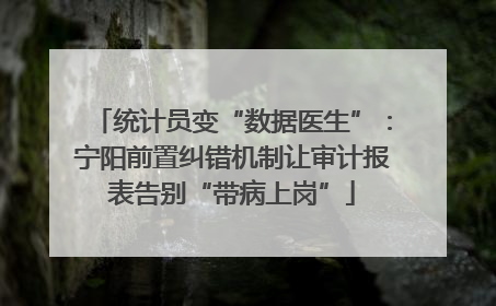 统计员变“数据医生”：宁阳前置纠错机制让审计报表告别“带病上岗”
