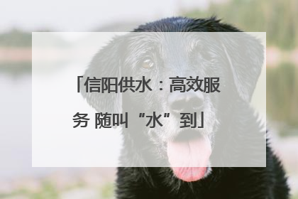 信阳供水：高效服务 随叫“水”到