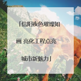 信阳夜色璀璨如画 亮化工程点亮城市新魅力