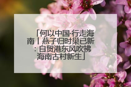 何以中国·行走海南丨燕子归时巢已新：自贸港东风吹拂 海南古村新生