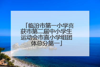 临汾市第一小学喜获市第二届中小学生运动会市直小学组团体总分第一