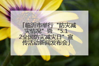 临沂市举行“防灾减灾情况”暨 “5.12全国防灾减灾日”宣传活动新闻发布会