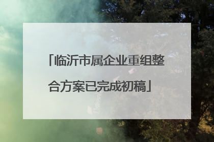 临沂市属企业重组整合方案已完成初稿