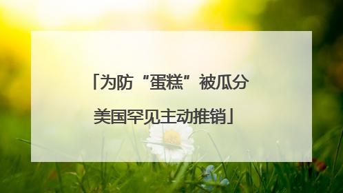 为防“蛋糕”被瓜分 美国罕见主动推销