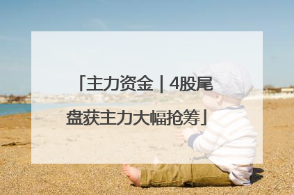 主力资金｜4股尾盘获主力大幅抢筹