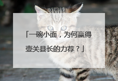 一碗小面，为何赢得壶关县长的力荐？