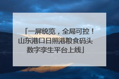 一屏统览，全局可控！山东港口日照港粮食码头数字孪生平台上线