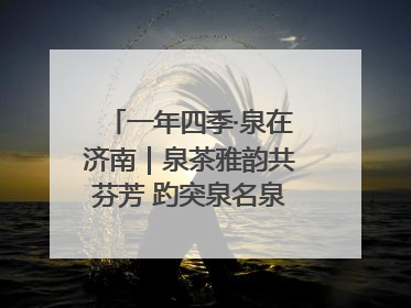 一年四季·泉在济南｜泉茶雅韵共芬芳 趵突泉名泉茗茶品鉴会举行