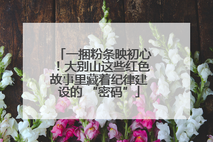 一捆粉条映初心！大别山这些红色故事里藏着纪律建设的 “密码”