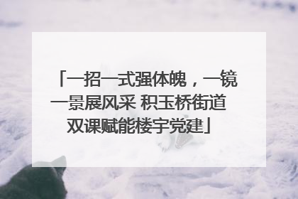 一招一式强体魄，一镜一景展风采 积玉桥街道双课赋能楼宇党建