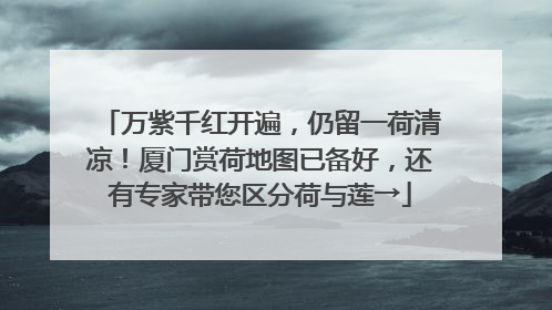 万紫千红开遍，仍留一荷清凉！厦门赏荷地图已备好，还有专家带您区分荷与莲→