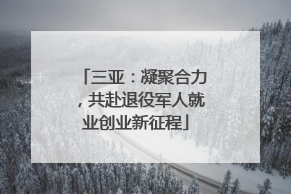三亚：凝聚合力，共赴退役军人就业创业新征程