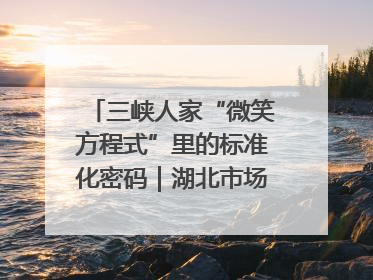 三峡人家“微笑方程式”里的标准化密码｜湖北市场监管所的故事