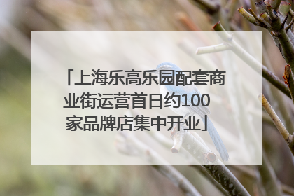 上海乐高乐园配套商业街运营首日约100家品牌店集中开业