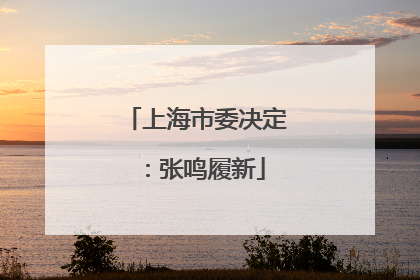 上海市委决定：张鸣履新