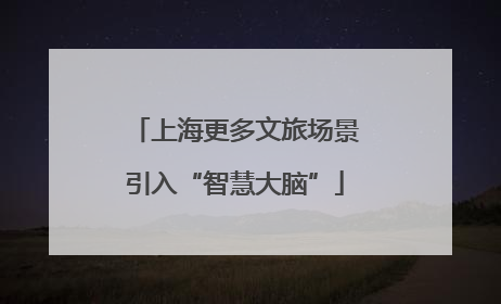 上海更多文旅场景引入“智慧大脑”