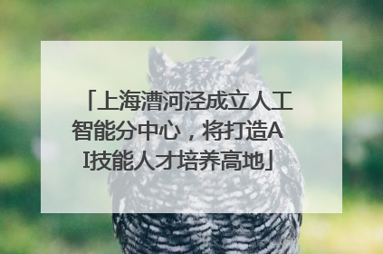 上海漕河泾成立人工智能分中心，将打造AI技能人才培养高地