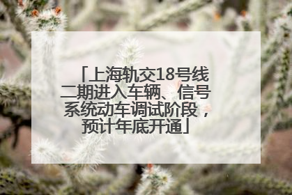 上海轨交18号线二期进入车辆、信号系统动车调试阶段，预计年底开通