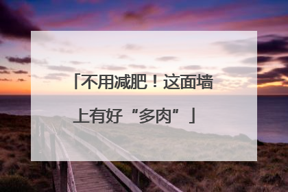 不用减肥！这面墙上有好“多肉”
